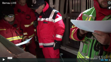 Rettungshundestaffel Barnim, DLRG, Barnim, Lobetal, Bernau, Bernau LIVE