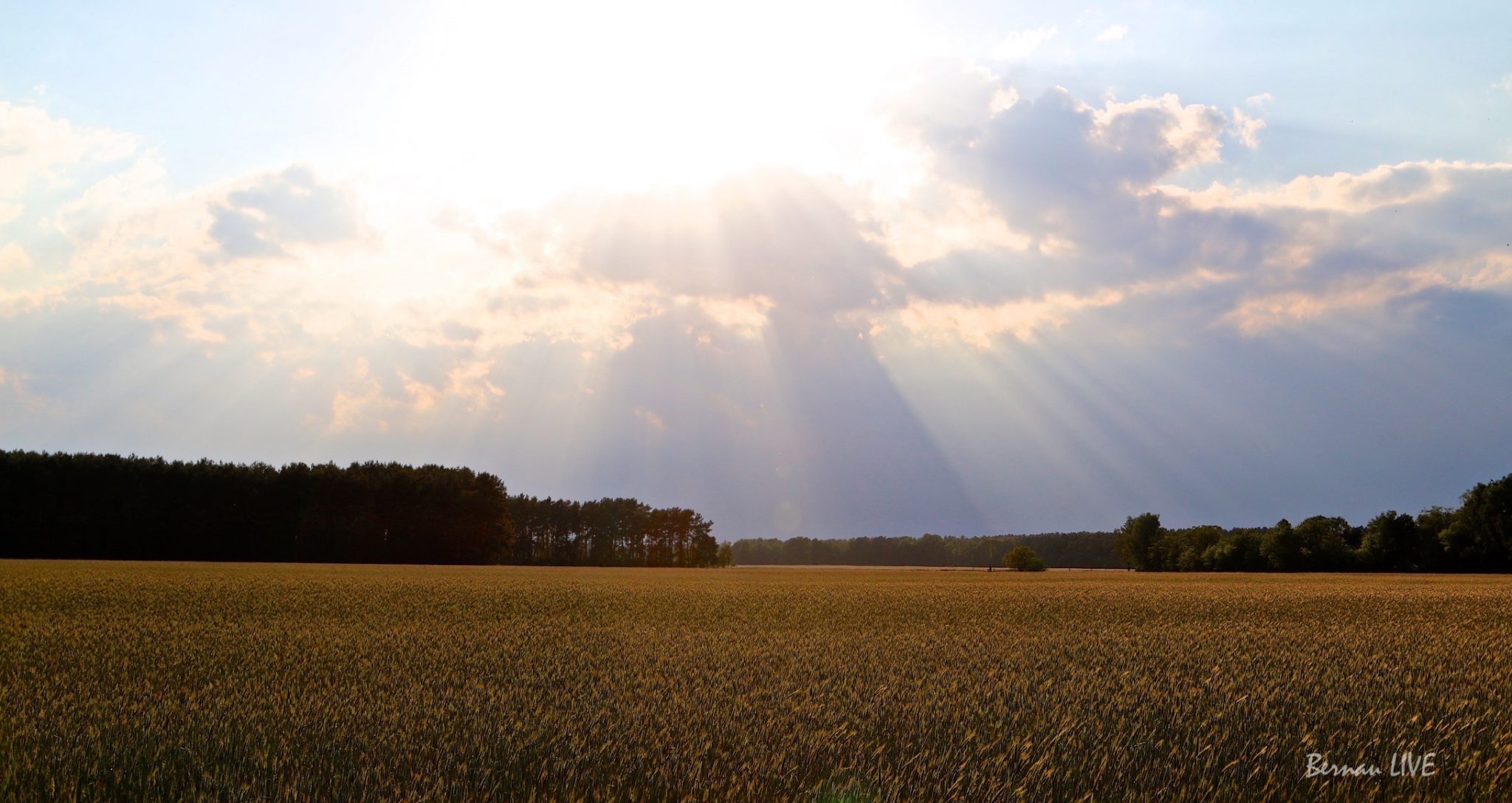 Bernau LIVE: Hallo am heutigen Dienstag 8 Bernau LIVE, Barnim, Natur, Wetter, Guten Morgen, Feld, Wolken, Sonne