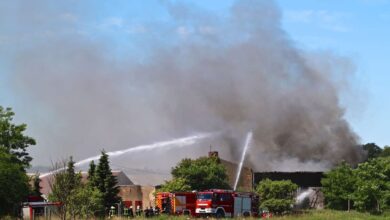 Feuer Hirschfelde, Brand Hirschfelde, Grossfeuer Werneuchen, Bernau LIVE, Barnim