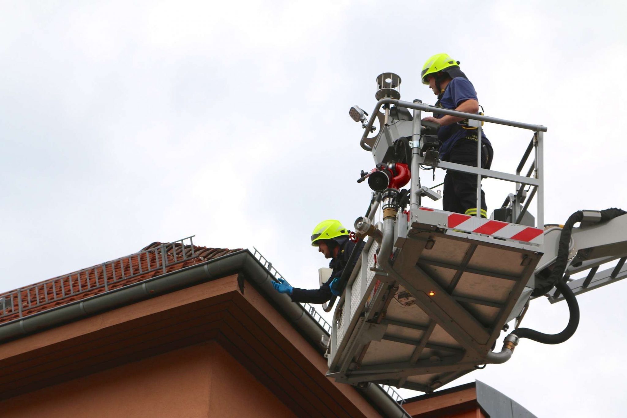 Eine Welt voller Hoffnung - Feuerwehr Bernau rettet Schwalbe 6 Feuerwehr Bernau, Tierrettung, Bernau, Barnim, Feuerwehr, Bernau bei Berlin, Bernau LIVE