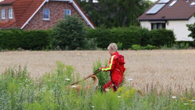 Rettungshundestaffel Barnim, DLRG, Barnim, Bernau, Bernau LIVE
