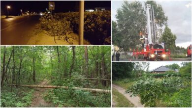 Sturm, Feuerwehr, Wetter, Barnim, Bernau, Bernau LIVE, Feuerwehreinsätze, Natur, Wetter, Nachrichten Bernau