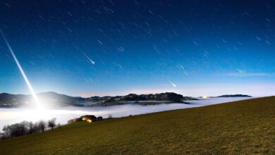 Bernau LIVE, Sternschnuppe, Perseidenregen, Nacht, Natur, Himmel, Bernau, Barnim,