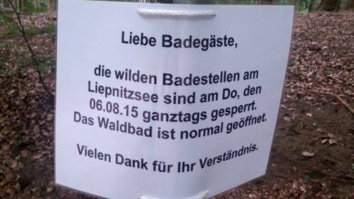 Liepnitzsee, Film, Bernau, Barnim, Dreharbeiten Liepnitzsee