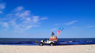 Barnim, Ferien, Schülerticket, Ostsee, Rügen, Sommer, Bernau LIVE, Barnim, Ladeburg, Sommer, Natur, Meer, Ferien