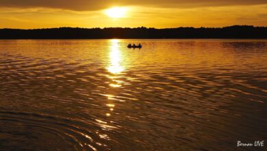 Sommer, Barnim, Natur, Werbellinsee, Barnim, August, Wasser, See, Bernau LIVE