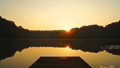 Bernau: Mit Sommer und viel Sonne in die neue Woche