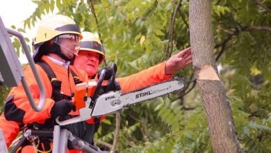 Feuerwehr Bernau: Gegen 14.45 Uhr wurde die Freiwillige Feuerwehr Bernau am heutigen Montag in die Bernauer Waldsiedlung gerufen.