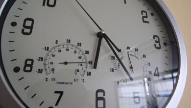 Sommer, Bernau LIVE, Büro, Hitze, 40 Grad, Barnim, Wetter