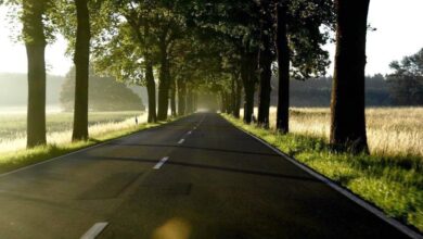 Bernau LIVE, Bernau, Sonnenaufgang, Barnim, Sommer, Strasse, Sonne