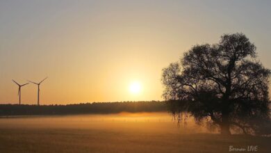 Bernau: Sonnenaufgang in Bernau Ladeburg