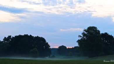 Bernau: Guten Morgen, zusammen und einen schönen Dienstag -