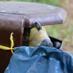 Die 24 Stunden von Bernau - Laufspektakel im Bernauer Stadtpark 17 24 Stunden von Bernau