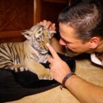 Grundsteinlegung: Na gut, dass wir gestern Tiger Diego besucht haben 52 Bernau - LIVE bei Tiger DIEGO