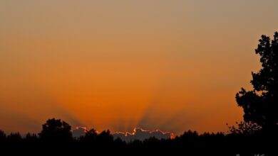 Bernau LIVE, Sonnenuntergang Barnim, Sonnenuntergang Bernau, Natur, Abend, Sonne, Wetter