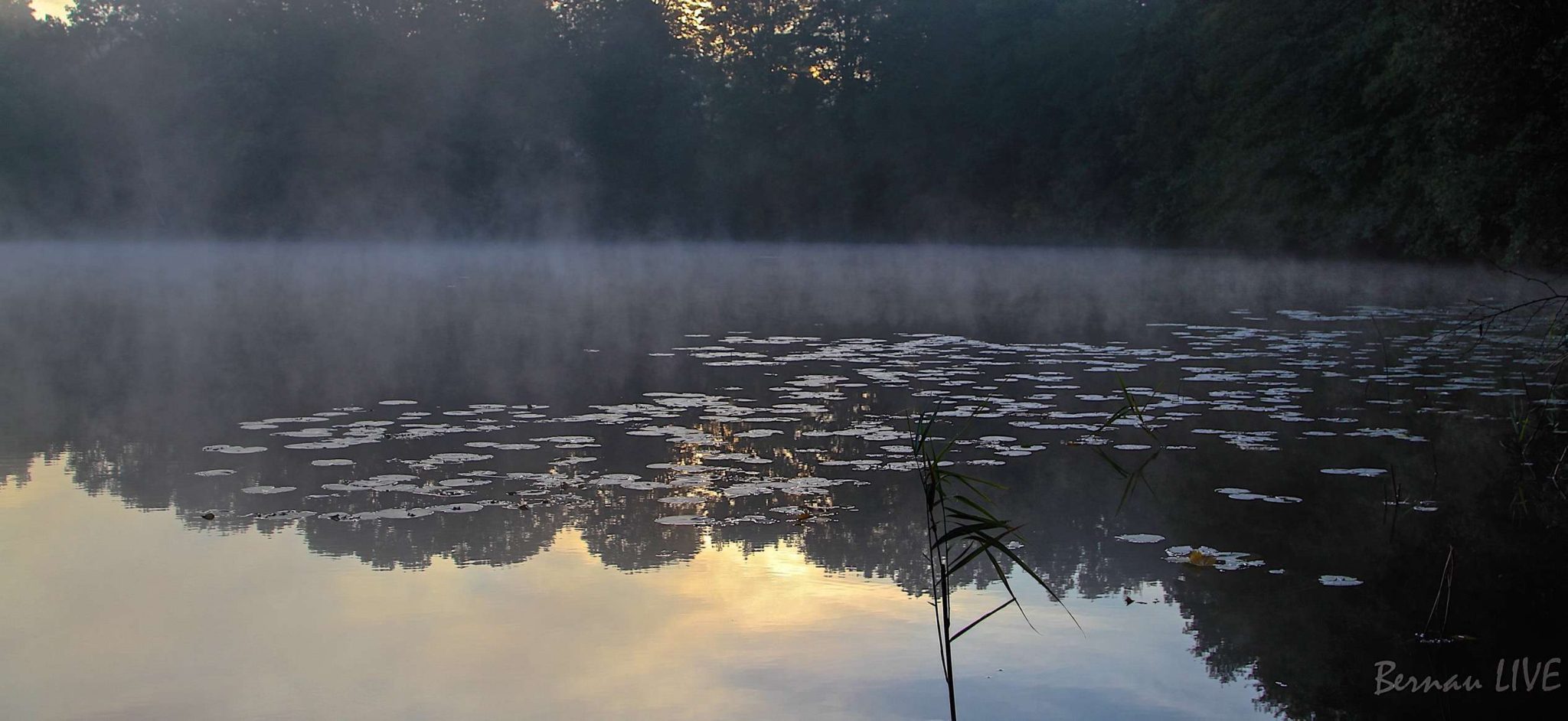 Bernau LIVE: Guten Morgen Bernau, Barnim und Drumherum! 14 Bernau, Lobetal, Mechesee, Bernau LIVE, Barnim, Natur, Sonnenaufgang