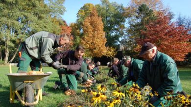 125.000 Blumenzwiebeln für Bernau bei Berlin