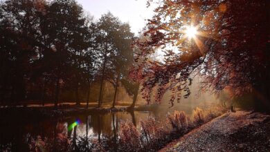 Barnim - Bernau: Die Sonne ist da! Guten Morgen