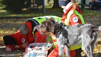 Barnim: Neue Spürhunde für das Land Brandenburg