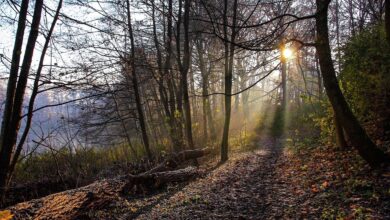 Wochenende - Feiertag - Halloween - Veranstaltungstipps