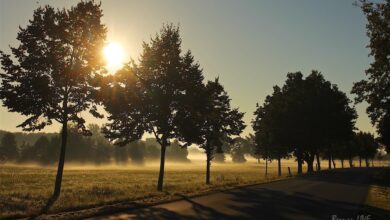 Bernau: Hallo und guten Morgen am "Tag des Lächelns"