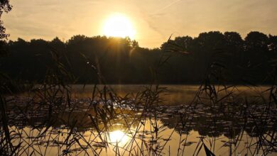 Hallo und guten Morgen aus Bernau
