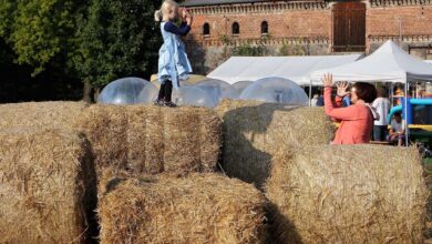 Noch bis etwa 18 Uhr feiert der Gutshof Börnicke sein diesjähriges Kürbisfest und die St. Marien Gemeinde ihr Apfelfest am Dorfteich.