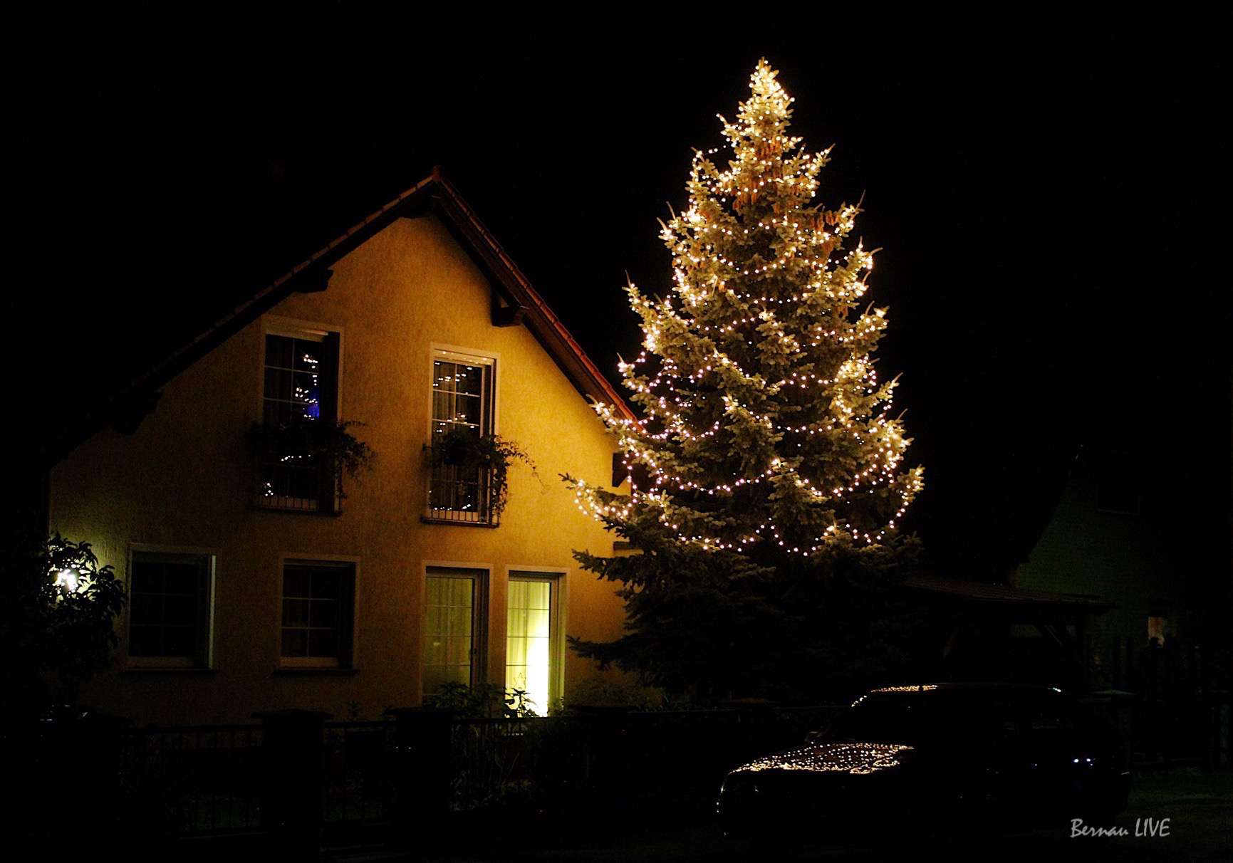 Wir haben den 1. Weihnachtsbaum in Bernau entdeckt