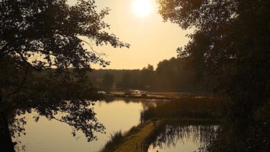 Barnim - Bernau: Guten Morgen und willkommen in der neuen Woche