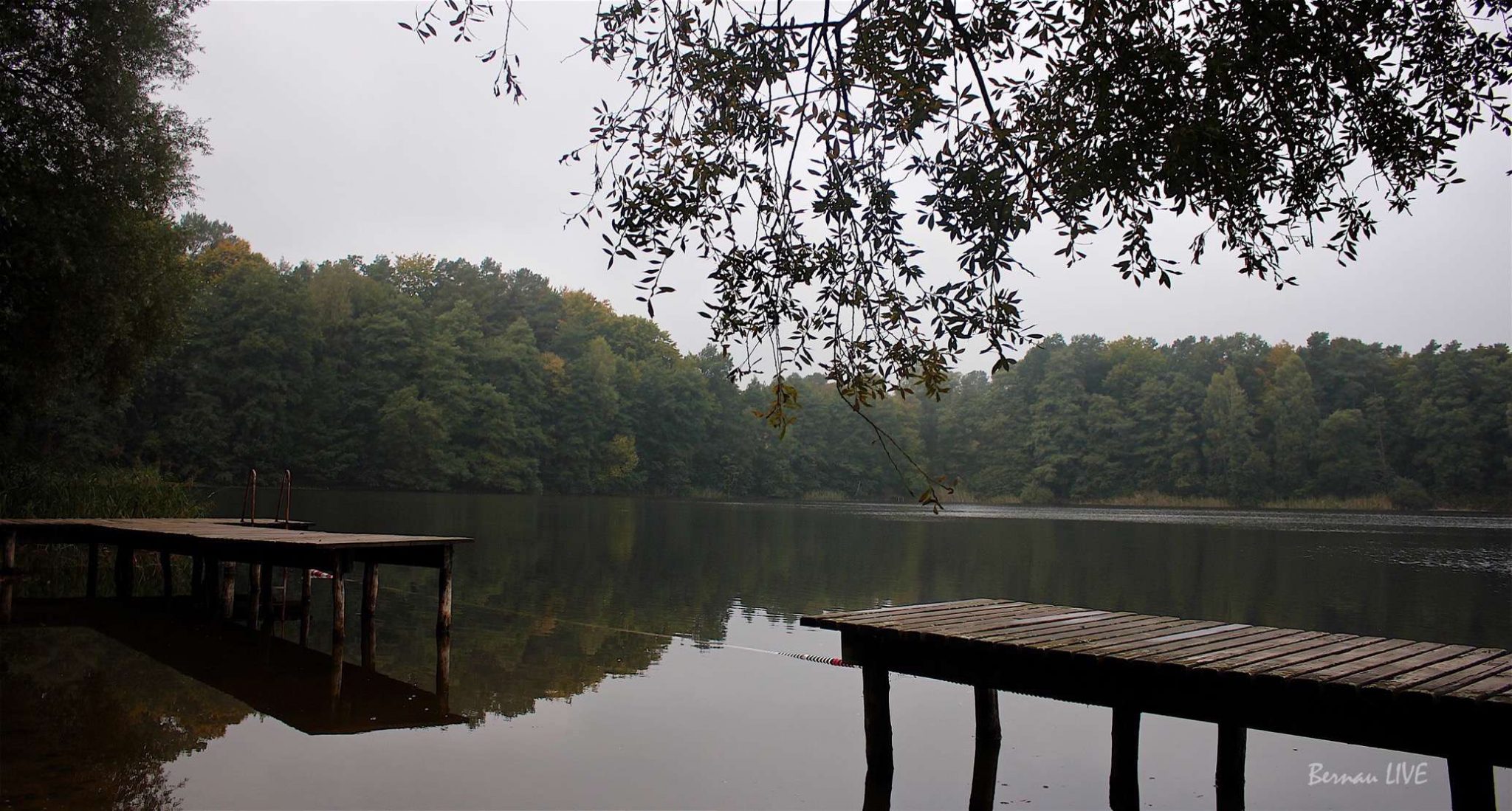 Bernau: Willkommen im herbstlich grauen Mittwoch 8 Bernau LIVE