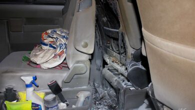 Biesenthal: Pilze reichlich gefunden - Auto derweil in Flammen