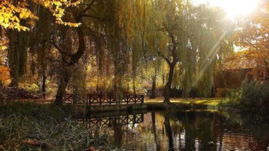 Stadtpark Bernau