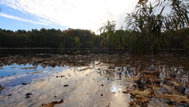 Bernau: Ein bisschen Sonne in Sicht