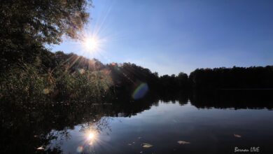 Barnim - Bernau: Was für ein schöner Herbsttag