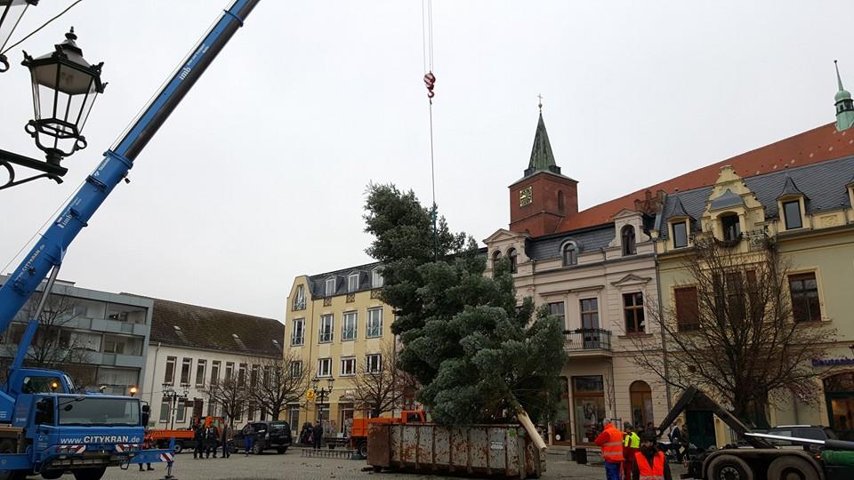 Weihnachtsbaum Bernau