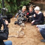 Grundsteinlegung: Na gut, dass wir gestern Tiger Diego besucht haben 48 Bernau LIVE und RBB bei Tieger Diego