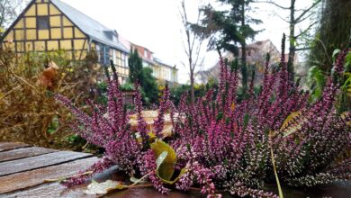 Barnim: Guten Morgen Bernau und allen Drumherum 38 Barnim