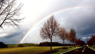 Regenbogen - Gerade auf dem Weg nach Biesenhal