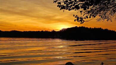 Sonnenuntergang am Werbellinsee