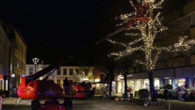 Stadt Bernau schmückt sich Lichterbunt