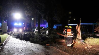 Barnim: Sturmtief sorgte für zahlreiche Feuerwehreinsätze in unserer Region