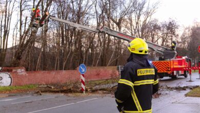 Feuerwehreinsatz Bernau: Schwanebecker Chaussee wieder frei