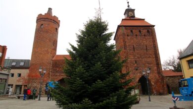 WOBAU Bernau: Weihnachtsbaum Nr. 2 - mit Glühwein eingeweiht...