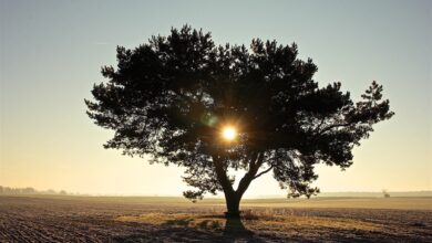 Barnim: Unsere Veranstaltungstipps