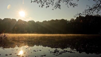 Guten Morgen, Kinder der Stadt und allen Drumherum