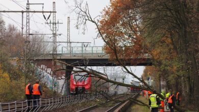 Bernau: Umgestürzter Baum sorgte für Chaos im Bahnverkehr