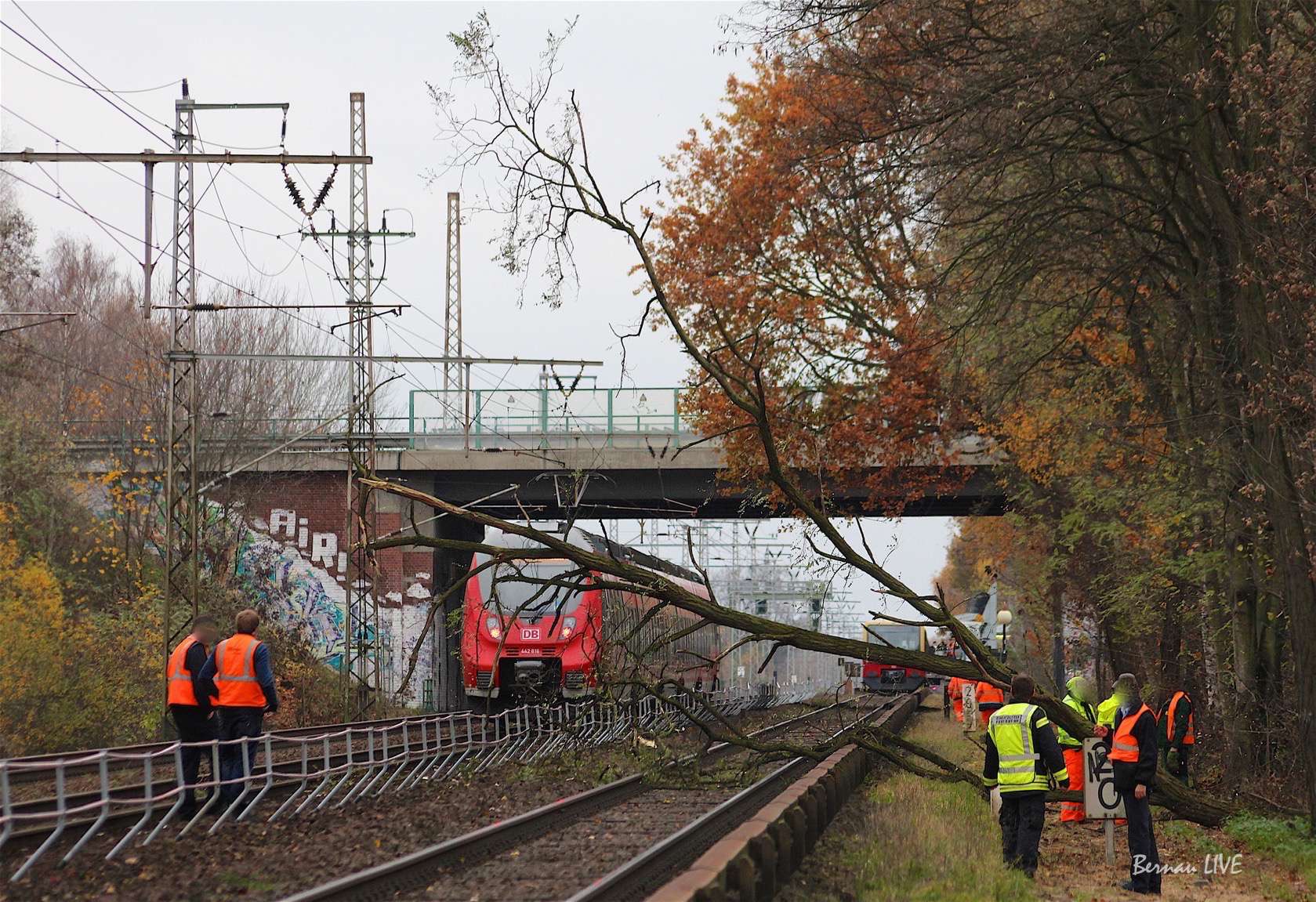 Bernau: Umgestürzter Baum sorgte für Chaos im Bahnverkehr