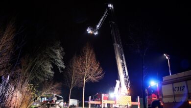 Bernau LIVE - Dein Stadtmagazin