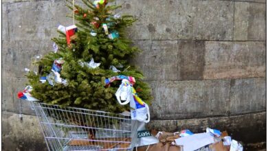 Bernau - Weihnachtsbaum