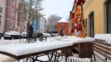 Barnim: Guten Morgen, eigentlich sollte der Winter heute beginnen 16 Barnim - Heute ist Winteranfanf